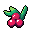 Cranberry x 0