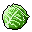GreenCabbage x 0
