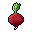 Radish x 1