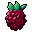 Raspberry x 0